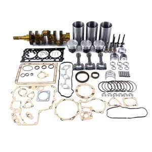 Overhaul Rebuild Kit for Kubota D902 – Verified Fitment